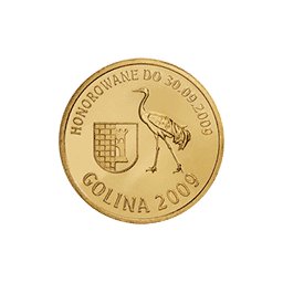 4 Partnerki 2009 - Golina