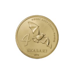 4 Skalaki 2009 - Skała