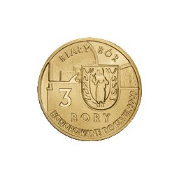 3 Bory 2009 - Biały Bór