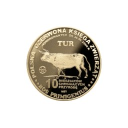 10 miedziaków 2009 - Tur
