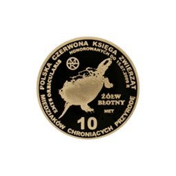 10 miedziaków 2009 - Żółw błotny