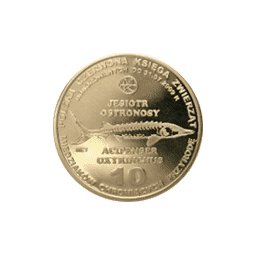 10 miedziaków 2009 - Jesiotr ostronosy