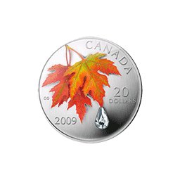 Kanada - 2009, 20 dolarów - Kropla deszczu - Jesienny liść klonu