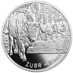 20 zł 2013 Żubr - Zwierzęta świata