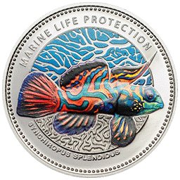 Palau - 2013, 5 dolarów - Ochrona życia morskiego - Synchiropus splendidus