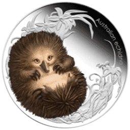 Australia - 2013, 50 cents - Dzieci Buszu II - Echidna