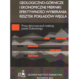 Geologiczno-górnicze i ekonomiczne mierniki efektywności wybierania resztek pokładów węgla