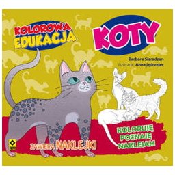 Kolorowa edukacja: Koty