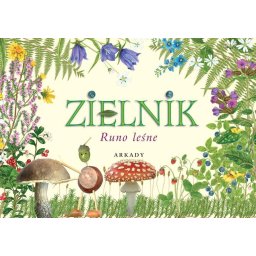 Zielnik. Runo leśne