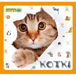Kotki. Poznajemy zwierzęta - bajka /Liwona/.