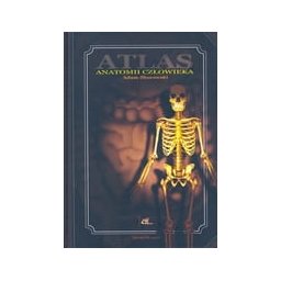 Atlas anatomii człowieka /Zborowski/