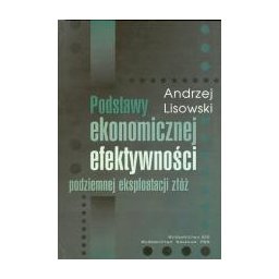 Podstawy ekonomicznej efektywności podziemnej eksploatacji złóż