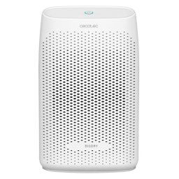Cecotec BigDry 2000 Essential