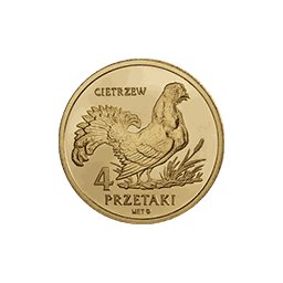 4 Przetaki 2010 - Biłgoraj - Cietrzew