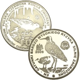 10 miedziaków 2010 - Batalion
