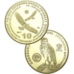 10 miedziaków 2010 - Gadożer