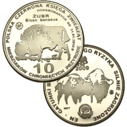 10 miedziaków 2009 - Żubr
