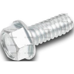 ŚRUBY ŚRUBA SAMOGWINTUJĄCA DO MOCOWANIA MONTAŻU WKRĘCANIA SILNIKA LONCIN LC1P92F1 EMAK DO TRAKTORKA SECO , OLEO-MAC , CEDRUS 3/8"x1" N309578548 CZĘŚĆ ORYGINALNA