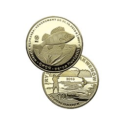 10 Złotych rybek 2010 - Okoń