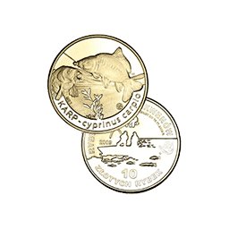10 Złotych rybek 2009 - Karp