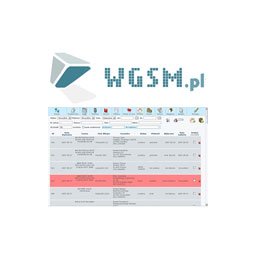 WGSM - Profesjonalna Obsługa Serwisu GSM