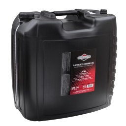 Briggs & Stratton 100046E Olej SAE30 25L 4T do kosiarek, traktorków i agregatów