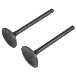 Zawór ssący/wydechowy Rato silnik RV225 12110-Z390110-0000