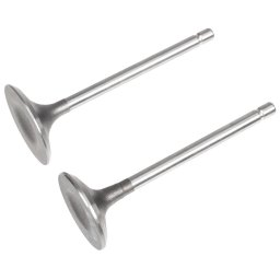 Zawór ssący/wydechowy Rato silnik R440 12110-Z710110-0099