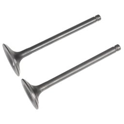 Zawór ssący/wydechowy Rato silnik R300 12110-Z730110-0099