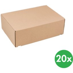 B2B Partner Kartony pocztowe na książki i dokumenty A4, 305 x 215 x 100 mm, 20 szt.