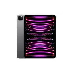 Apple iPad Pro 2022 11" 2TB Wi-Fi Gwiezdna Szarość