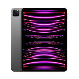 Apple iPad Pro 2022 11" 2TB Wi-Fi Gwiezdna Szarość