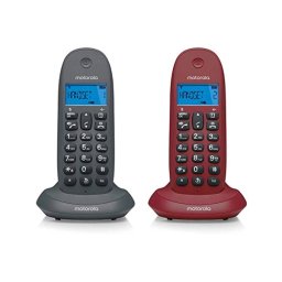Motorola C1002GW Duo