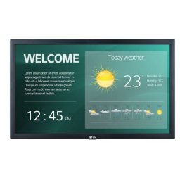 LG Electronics Monitor 22 cale 22SM3G 250cd/m2 16/7