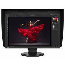 Monitor graficzny Eizo ColorEdge CG2400S