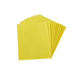 DeWALT Akcesoria - Papier ścierny P60, 230x280 mm, 10 szt. DT3231