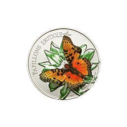 Kamerun - 2011, 1000 Francs - Motyl Papillons Exotiques 3D