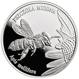 20 zł 2015 Pszczoła Miodna - Zwierzęta świata