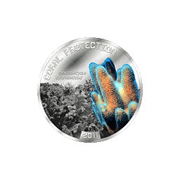 Tuvalu - 2011, 1 dolar - Chronione koralowce - Dendrogyra Cylindricus