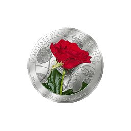 Benin - 2011, 200 Francs - Zapachy roślin świata - Róża