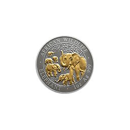 Somalia - 100 szylingów 2008 - Słoń - pozłacana