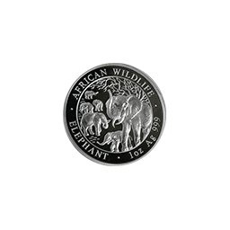 Somalia - 100 szylingów 2008 - Słoń