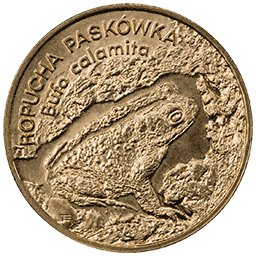 2 zł 1998 Ropucha Paskówka
