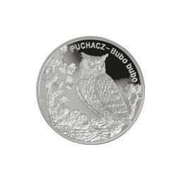 20 zł 2005 Puchacz