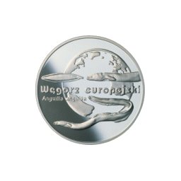 20 zł 2003 Węgorz Europejski