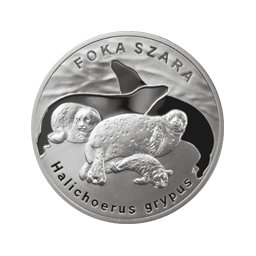 20 zł 2007 Foka Szara