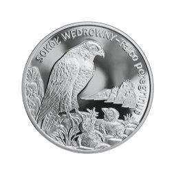 20 zł 2008 Sokół Wędrowny