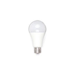 Lâmpada LED A80 E27/18W/230V 3000K