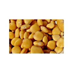 Tremoços Cozidos Amanhecer - Big Size - 800g