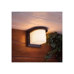 Iluminação de parede exterior PETUNIA 1xE27/60W/230V IP44 antracite